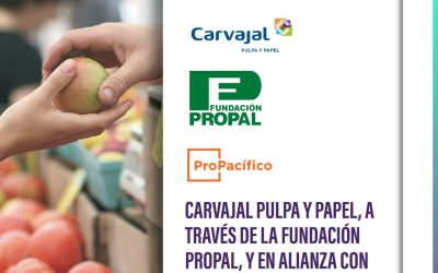 Carvajal pulpa y papel, a través de la fundación propal, y en alianza con propacífico donó 1.350 mercados a los habitantes de los barrios más vulnerables de puerto tejada y guachené en el cauca